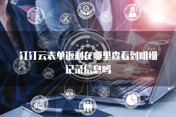 钉钉云表单返利在哪里查看到明细记录信息吗