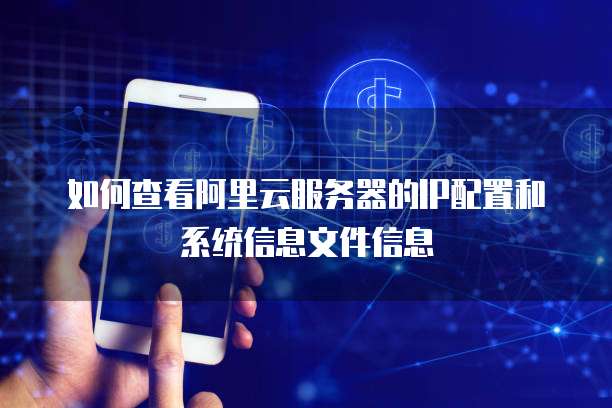 如何查看阿里云服务器的IP配置和系统信息文件信息