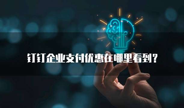 钉钉企业支付优惠在哪里看到?
