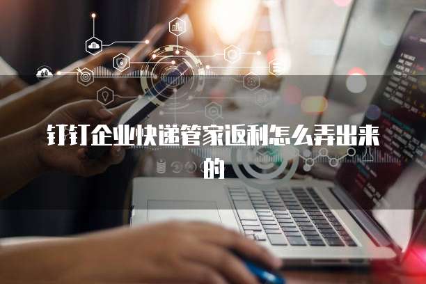 钉钉企业快递管家返利怎么弄出来的