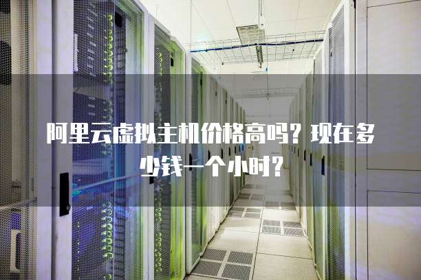 阿里云虚拟主机价格高吗?现在多少钱一个小时?