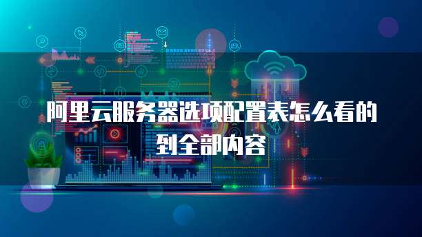 阿里云服务器选项配置表怎么看的到全部内容