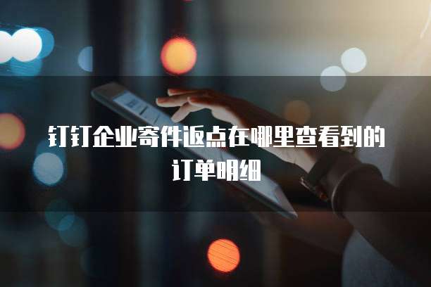 钉钉企业寄件返点在哪里查看到的订单明细