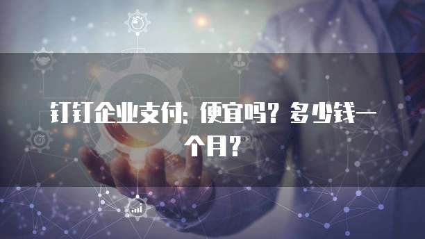 钉钉企业支付: 便宜吗?多少钱一个月?