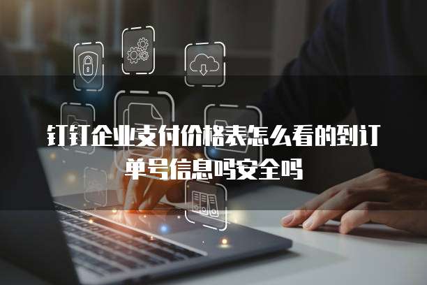 钉钉企业支付价格表怎么看的到订单号信息吗安全吗