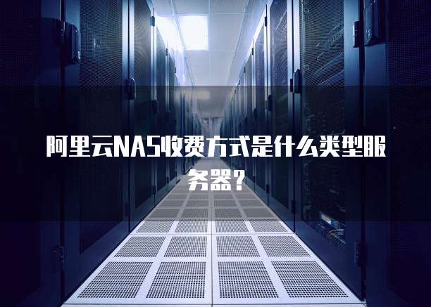 阿里云NAS收费方式是什么类型服务器?