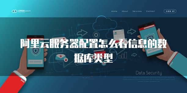 阿里云服务器配置怎么看信息的数据库类型