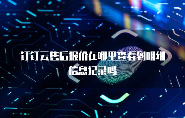 钉钉云售后报价在哪里查看到明细信息记录吗