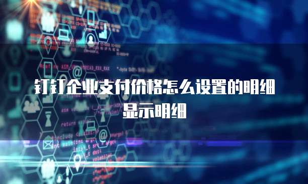 钉钉企业支付价格怎么设置的明细显示明细