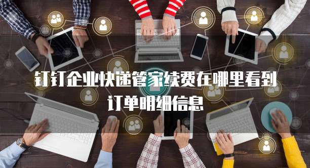 钉钉企业快递管家续费在哪里看到订单明细信息