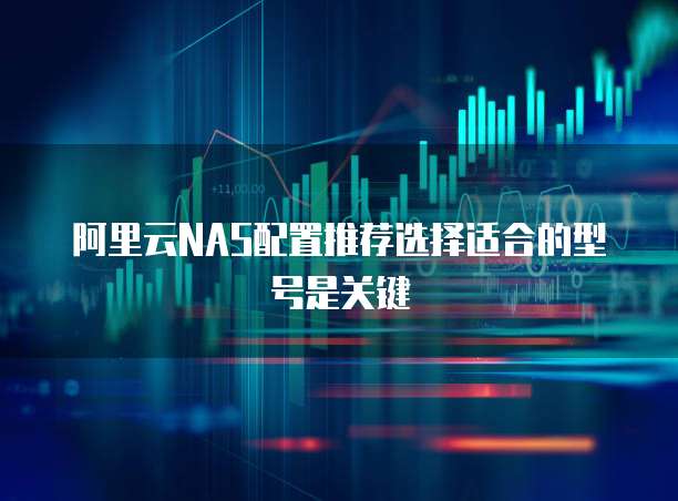阿里云NAS配置推荐选择适合的型号是关键