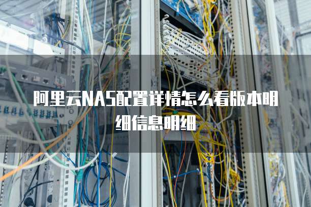 阿里云NAS配置详情怎么看版本明细信息明细