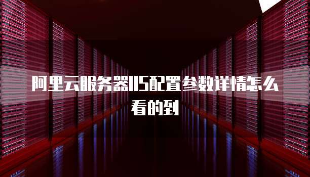 阿里云服务器IIS配置参数详情怎么看的到
