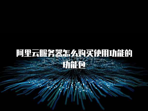 阿里云服务器怎么购买使用功能的功能包