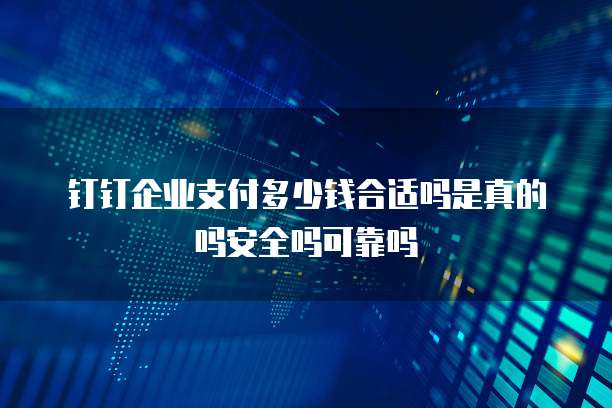 钉钉企业支付多少钱合适吗是真的吗安全吗可靠吗