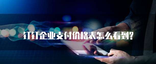 钉钉企业支付价格表怎么看到?