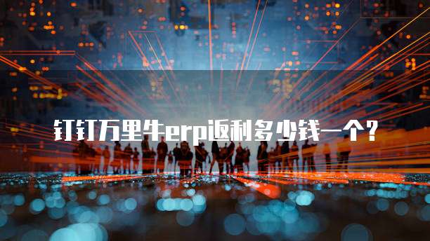 钉钉万里牛erp返利多少钱一个?