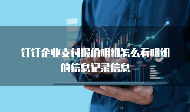 钉钉企业支付报价明细怎么看明细的信息记录信息