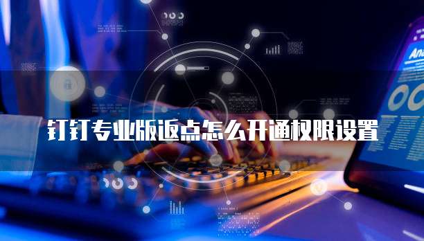 钉钉专业版返点怎么开通权限设置