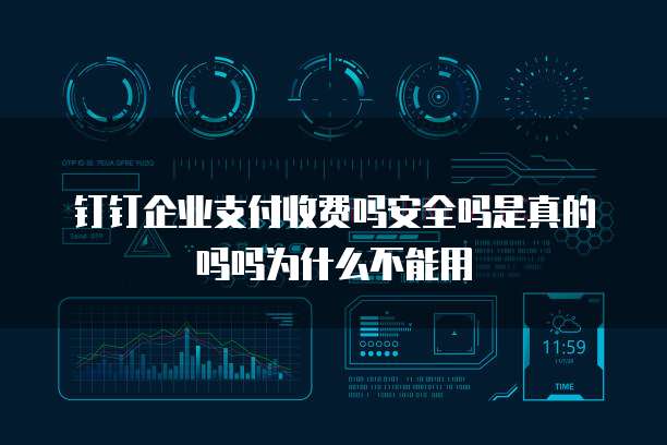 钉钉企业支付收费吗安全吗是真的吗吗为什么不能用