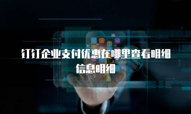 钉钉企业支付优惠在哪里查看明细信息明细