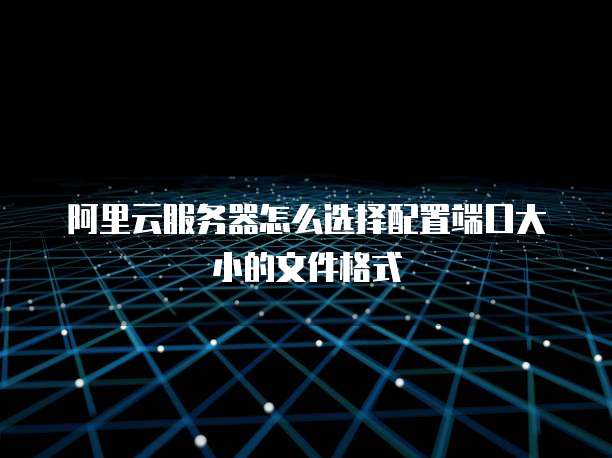 阿里云服务器怎么选择配置端口大小的文件格式