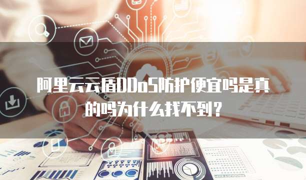 阿里云云盾DDoS防护便宜吗是真的吗为什么找不到?