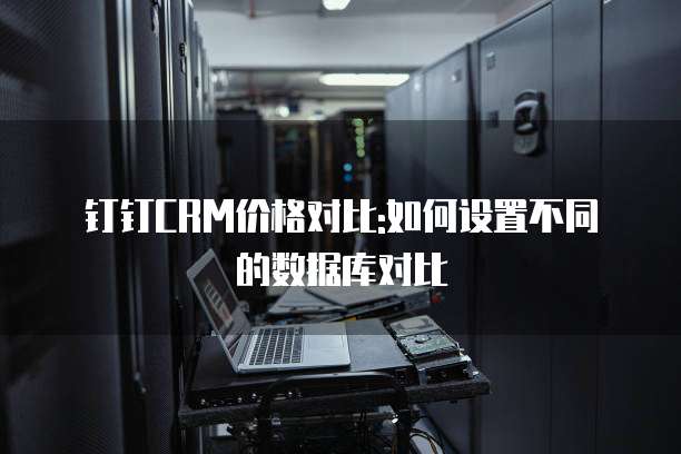 钉钉CRM价格对比:如何设置不同的数据库对比