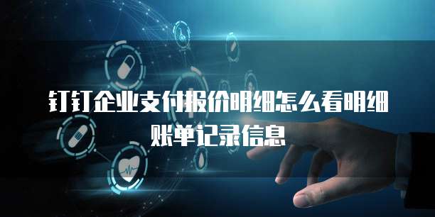 钉钉企业支付报价明细怎么看明细账单记录信息