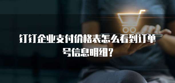钉钉企业支付价格表怎么看到订单号信息明细?