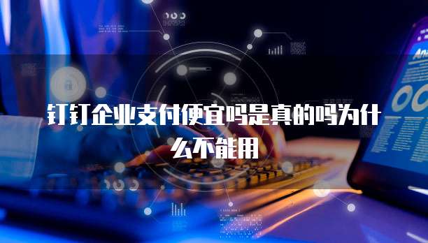 钉钉企业支付便宜吗是真的吗为什么不能用