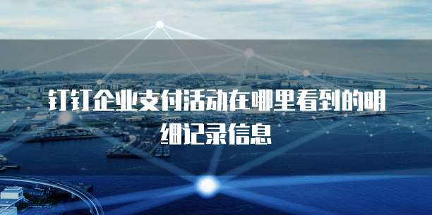钉钉企业支付活动在哪里看到的明细记录信息