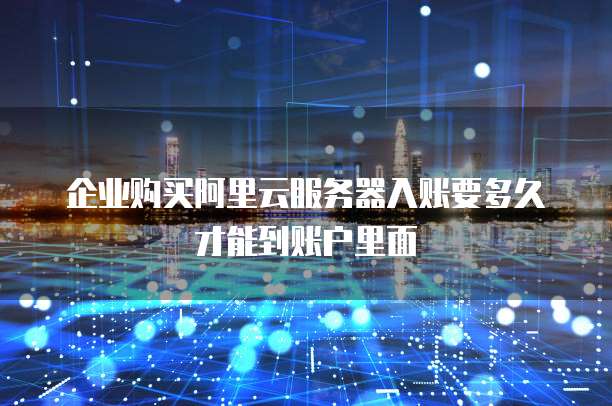 企业购买阿里云服务器入账要多久才能到账户里面