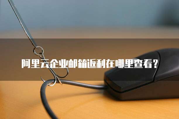 阿里云企业邮箱返利在哪里查看？