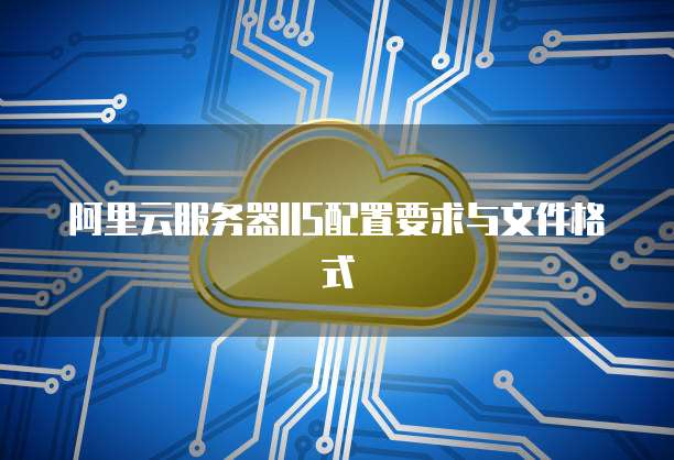阿里云服务器IIS配置要求与文件格式