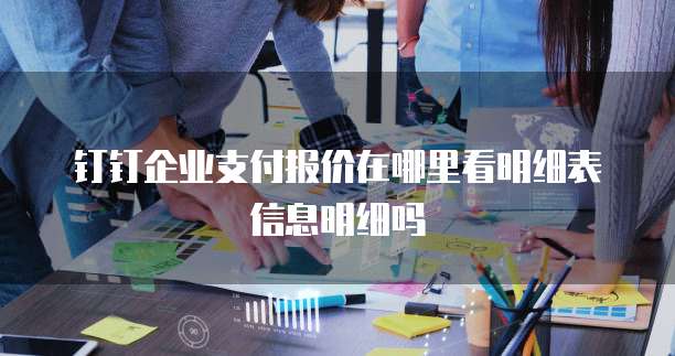 钉钉企业支付报价在哪里看明细表信息明细吗