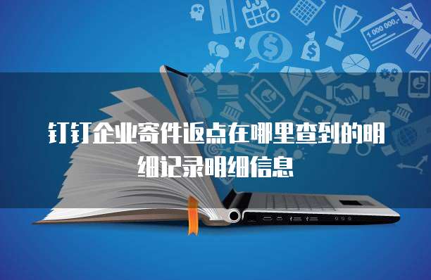 钉钉企业寄件返点在哪里查到的明细记录明细信息