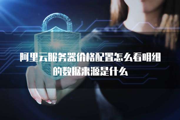 阿里云服务器价格配置怎么看明细的数据来源是什么