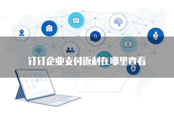 钉钉企业支付返利在哪里查看