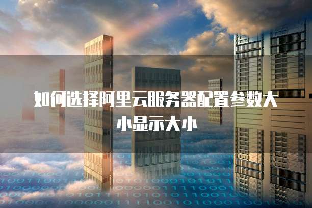 如何选择阿里云服务器配置参数大小显示大小
