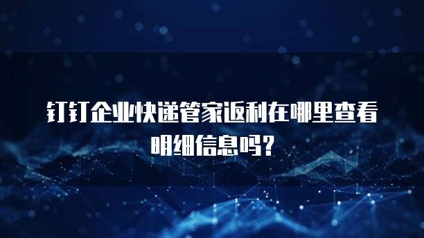 钉钉企业快递管家返利在哪里查看明细信息吗?