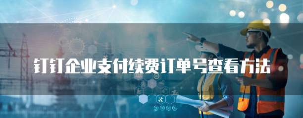 钉钉企业支付续费订单号查看方法