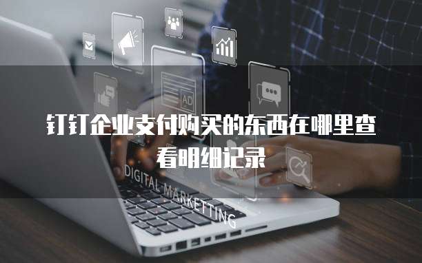 钉钉企业支付购买的东西在哪里查看明细记录