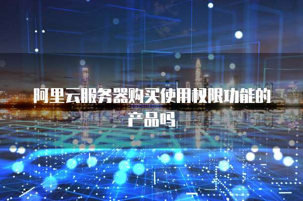 阿里云服务器购买使用权限功能的产品吗
