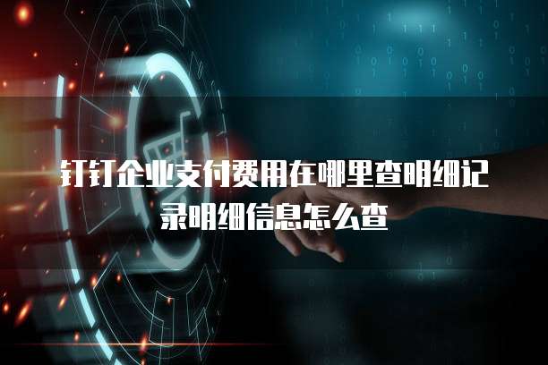 钉钉企业支付费用在哪里查明细记录明细信息怎么查