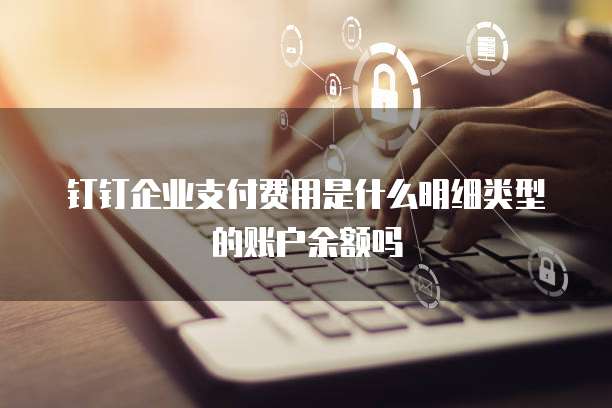 钉钉企业支付费用是什么明细类型的账户余额吗