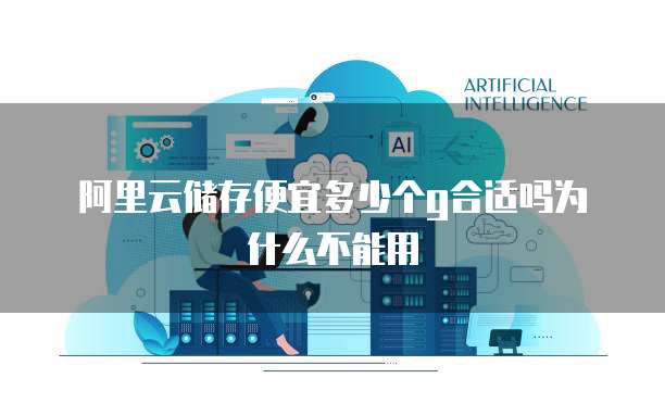 阿里云储存便宜多少个g合适吗为什么不能用
