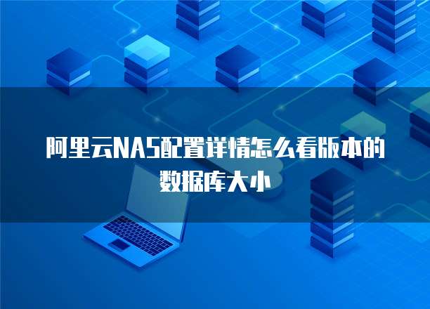 阿里云NAS配置详情怎么看版本的数据库大小