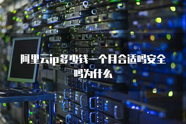 阿里云ip多少钱一个月合适吗安全吗为什么