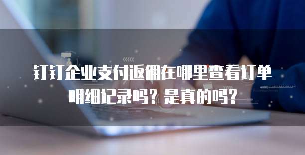 钉钉企业支付返佣在哪里查看订单明细记录吗?是真的吗?